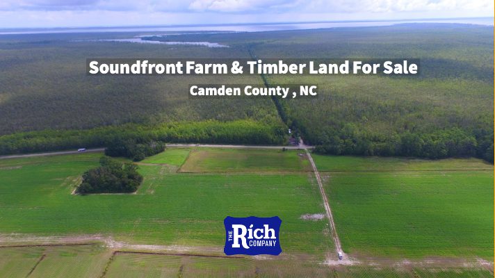 Soundfront Farm Timber Land For Sale - Camden County - Hunting , Farm, Timber, Waterfront 