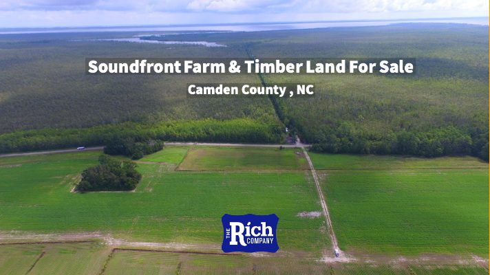 Soundfront Farm Timber Land For Sale - Camden County - Hunting , Farm, Timber, Waterfront 