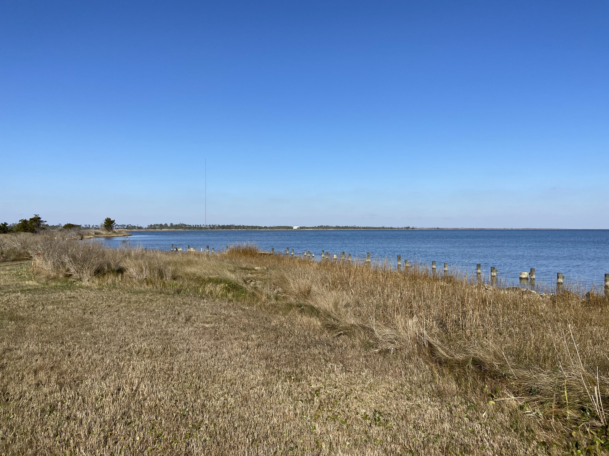 Bigwater Farm Hyde County The Rich Company